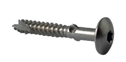 Metallskruv med stjärnformat skaft och gängad kropp.