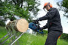 Person använder motorsåg för att kapa en stock som ligger på en sågko.