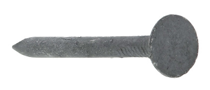 En grå metallspik med platt huvud och spetsig ände mot vit bakgrund.