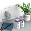 Vägguttag med USB-laddare, spiralblock, två stora batterier märkt "Acell" och ormbunke i kruka.