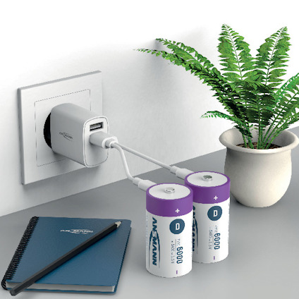 Vägguttag med USB-laddare, spiralblock, två stora batterier märkt "Acell" och ormbunke i kruka.