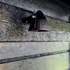 Liten svart lampa monterad på en vägg av gröna träpaneler.