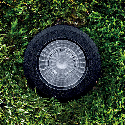 Svart lampa omgiven av grön mossa, sedd uppifrån.