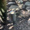 Solcellsdriven marklampa av metall bredvid trädstam och stenar på grus.