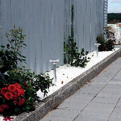 Vägg målad i grått med röda rosor och gröna växter i rabatten, omgiven av vita stenar längs en stenlagd gångväg.