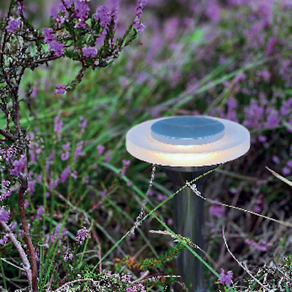 En solcellslampa står i ljung, med lila blommor runtomkring.
