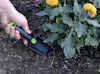 Hand håller en liten spade nära en blomma med gula blommor i jord.