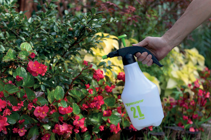 En hand håller i en vit sprayflaska märkt "24" framför röda och gröna växter.