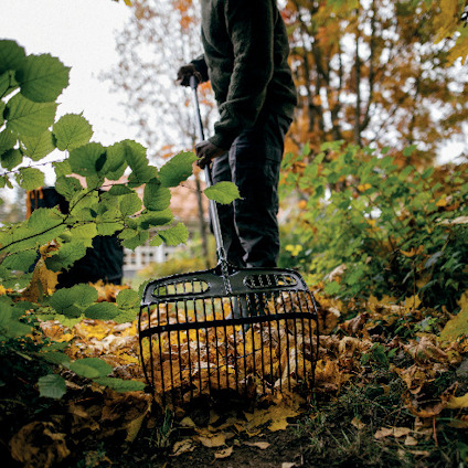 Person raking autumn leaves in a garden, surrounded by green and orange foliage.