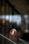 Glödlampa hänger från en trädgren med ett glödande ljus inuti, suddig bakgrund.