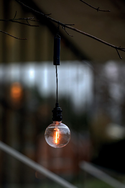 Glödlampa hänger från en trädgren med ett glödande ljus inuti, suddig bakgrund.