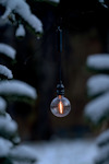 Glödlampa hänger utomhus mellan snötäckta grenar.